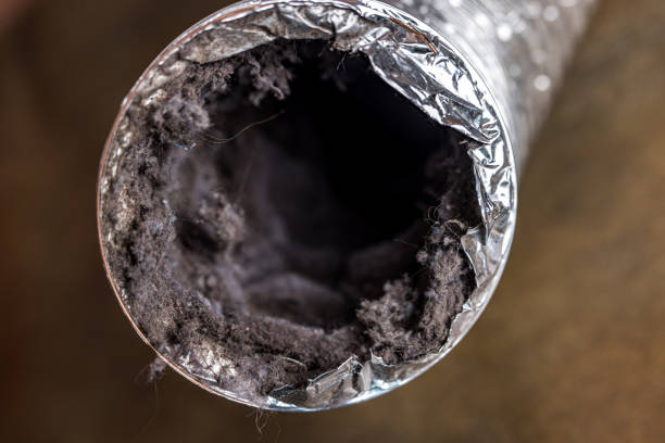 Best HVAC System Cleaning  in Harlan, IN