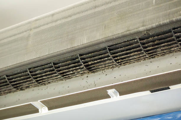 Best HVAC Air Duct Cleaning  in Harlan, IN